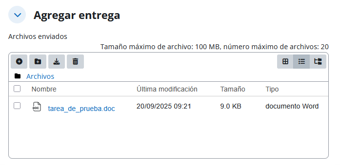Entrega agregada al Aula Virtual.