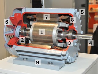 _images/electric-motor-induccion-num-tb.jpg