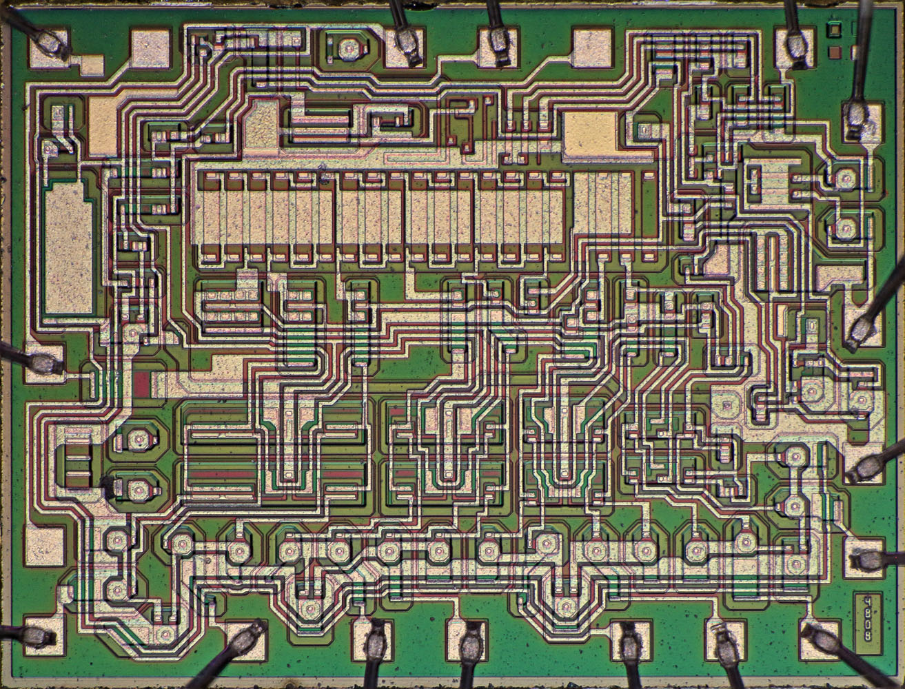 Fotografía de un circuito integrado LM555.