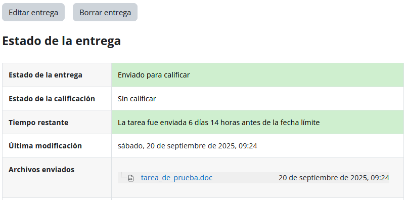 Estado de la entrega en el Aula Virtual.