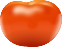 _images/informatica-tomate.png