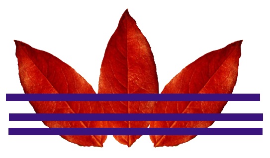 _images/inkscape-logo-09-j.jpg