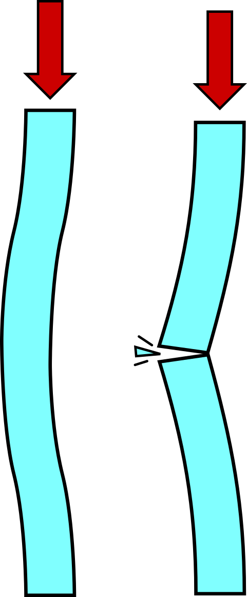 columna soportando pandeo.